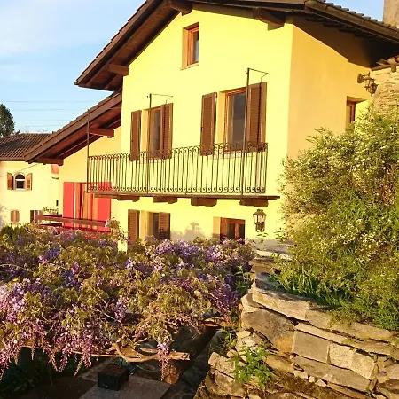 Apartment Wisteria House - *